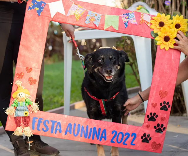 Direção criativa Festa Aunina